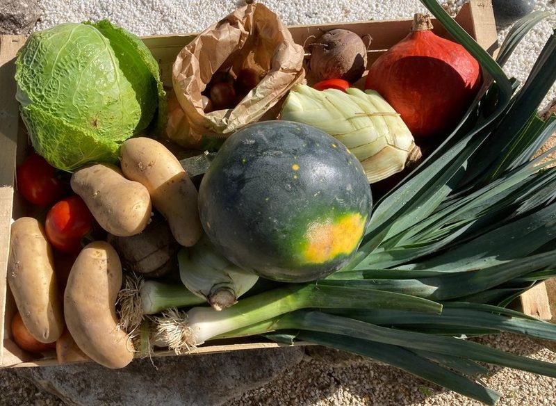 Caisse de légumes de saison